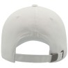 Dad Hat Destroyed